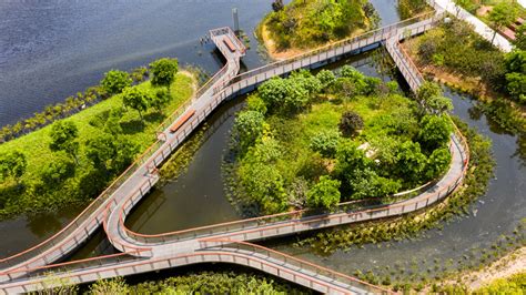 深圳哪些公園有橋?談論城市公園與橋樑的融合之美